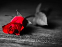 the power of love